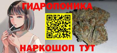 спиды Бийск