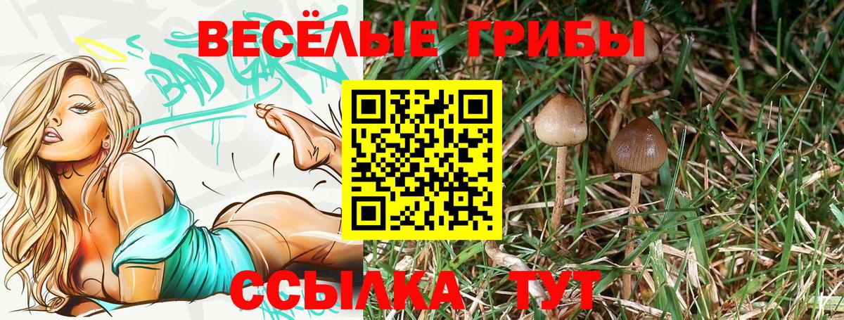 Галлюциногенные грибы мухоморы Кинель