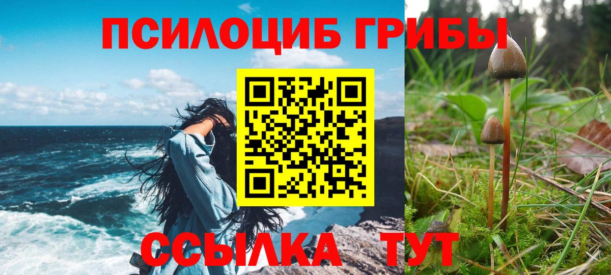 Галлюциногенные грибы прущие грибы  Вход с VPN  Кинель  Галлюциногенные грибы MAGIC MUSHROOMS 